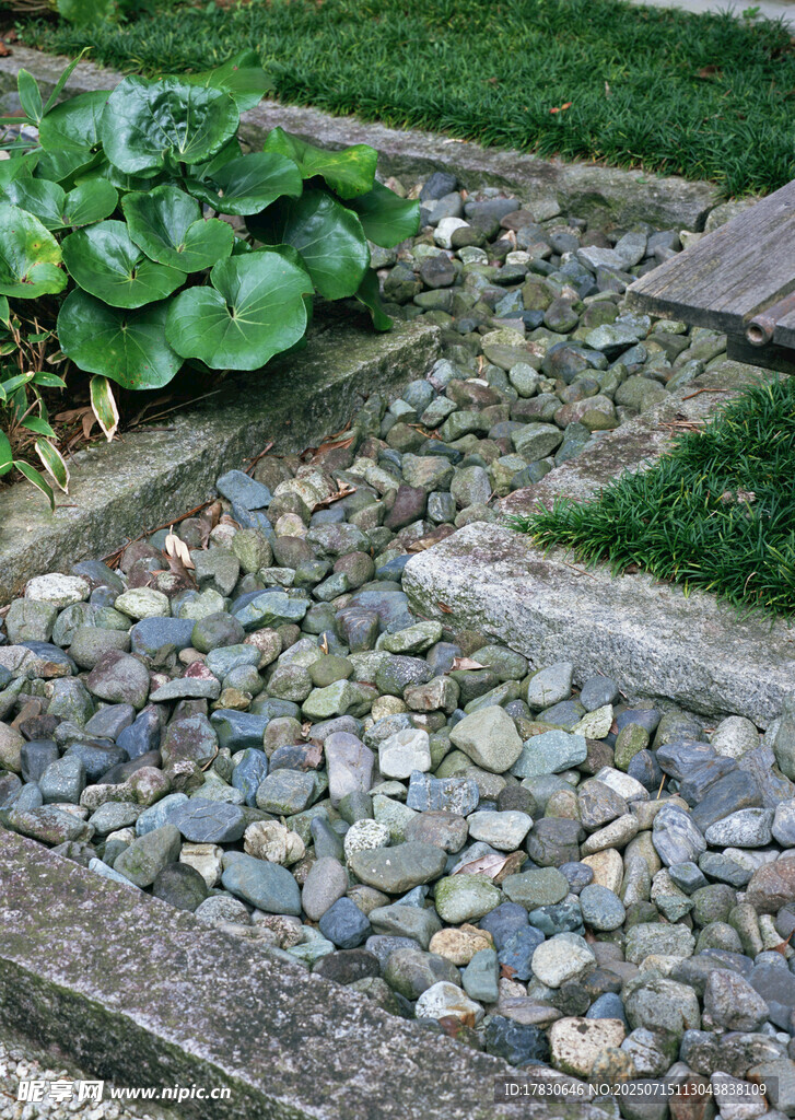 庭院碎石小径景观
