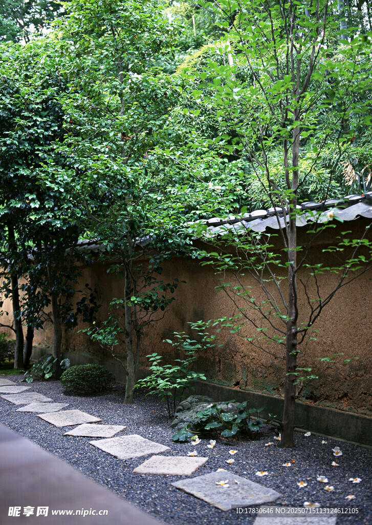 日式庭院小径绿植景观