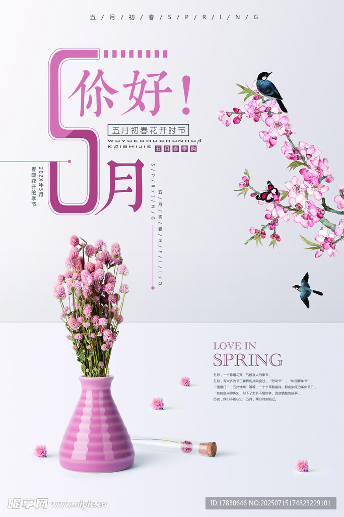 五月海报