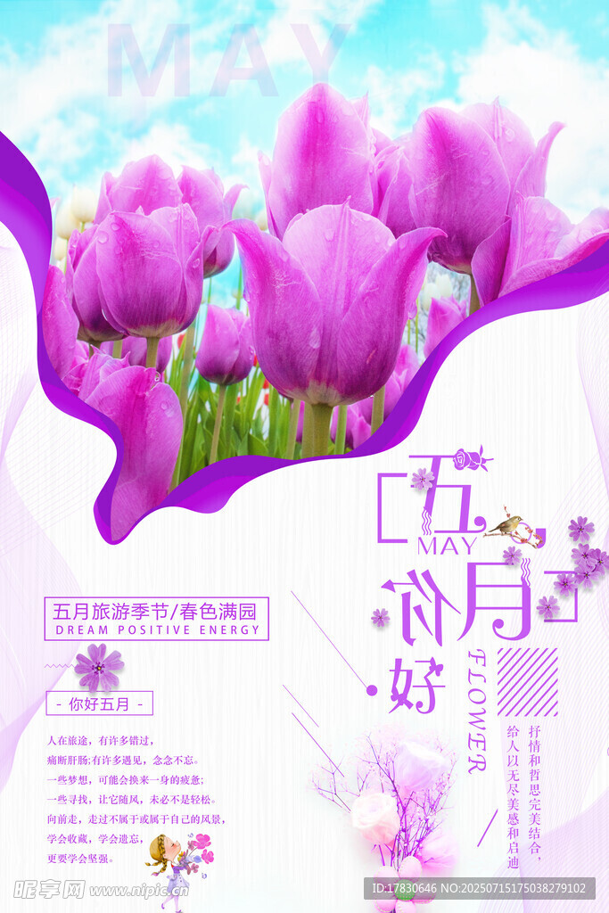浪漫紫色郁金香花卉图
