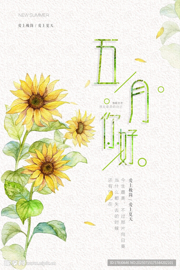 五月海报