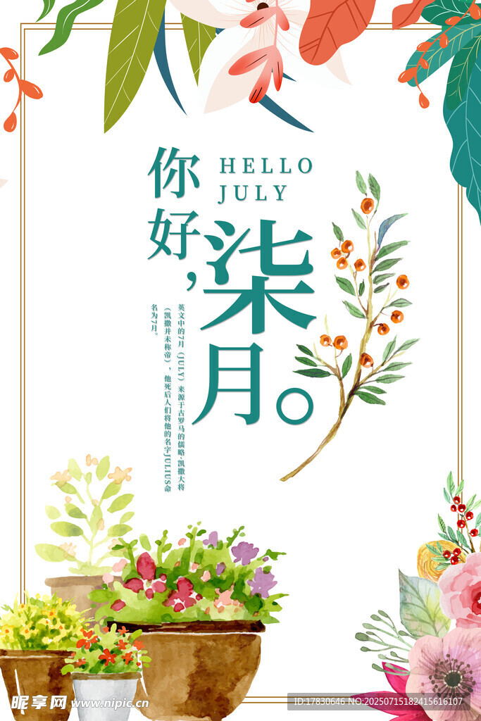 你好柒月花卉盆栽图
