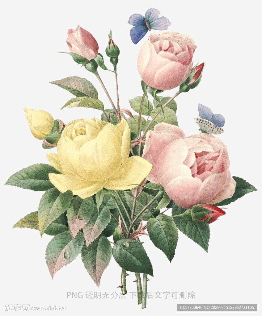 复古风多彩花卉插画