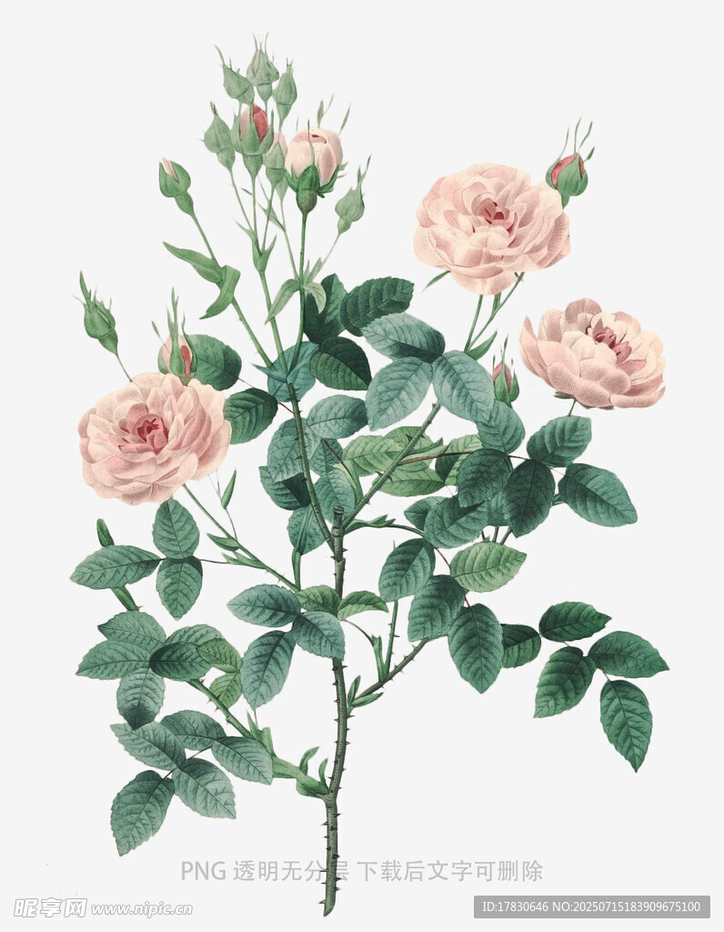 花束