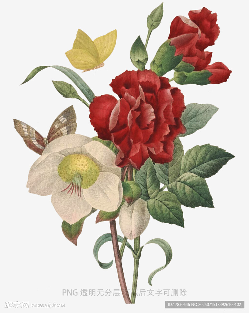 复古花卉插画
