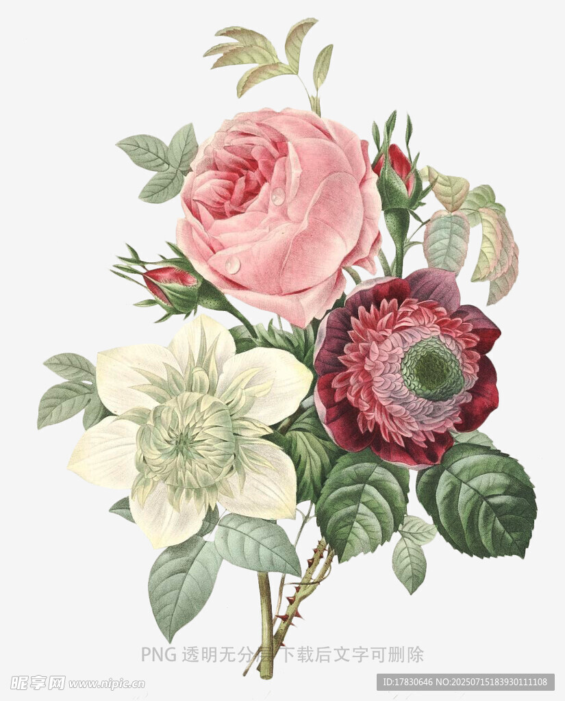 复古风手绘花卉插画