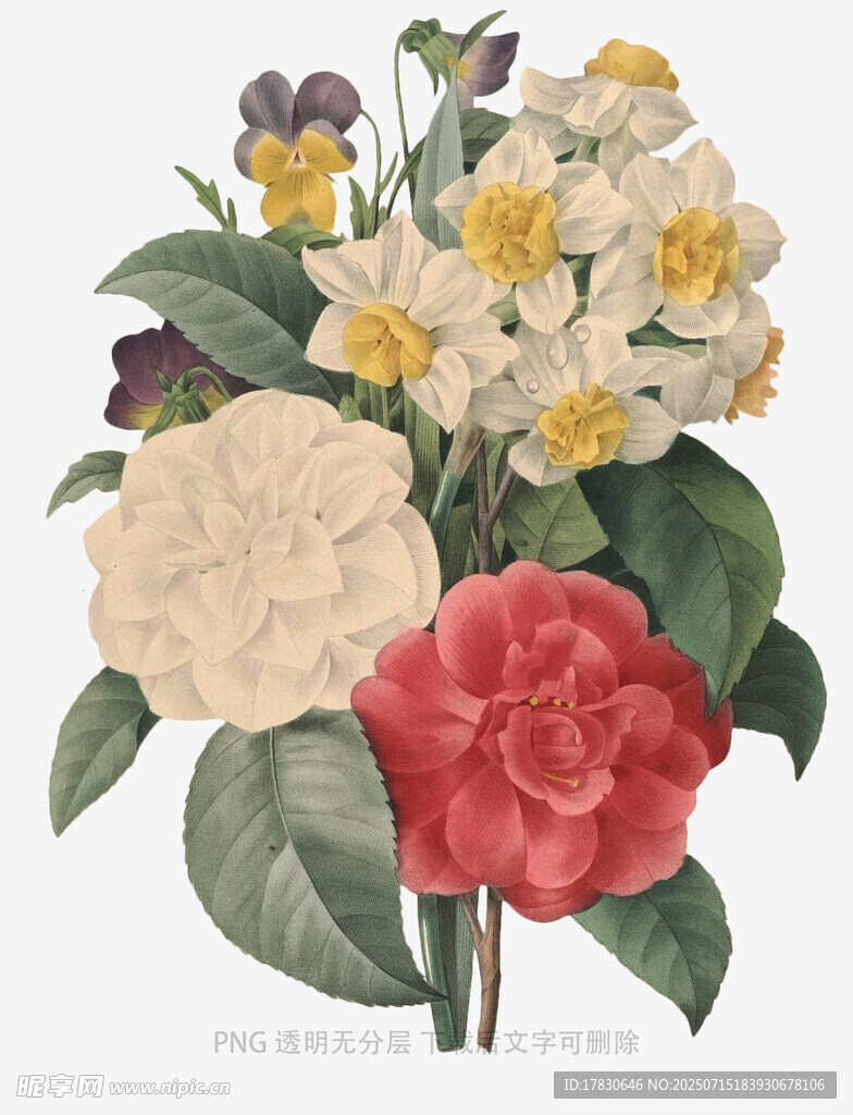 复古风多彩花卉插画