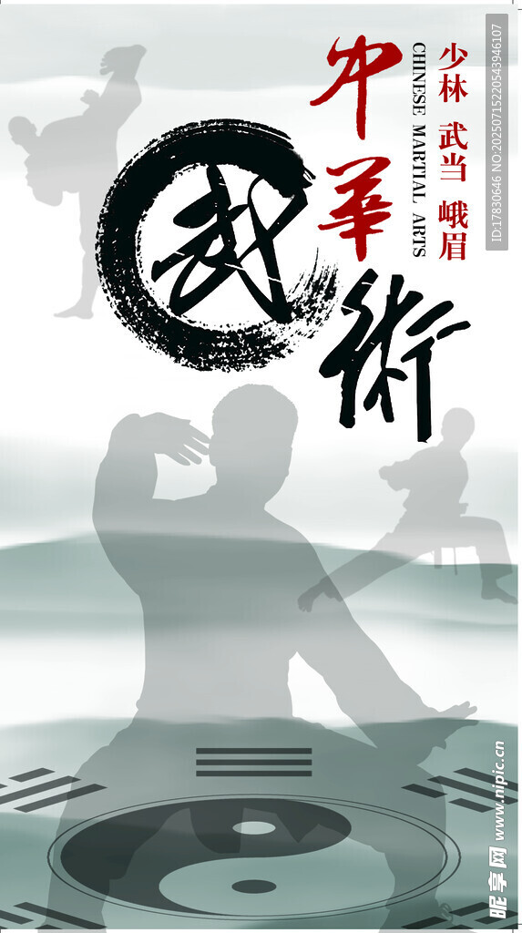 中华武术太极风采