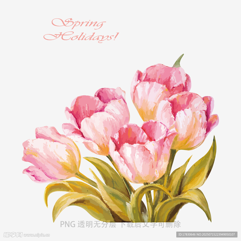 粉色郁金香插画装饰图案