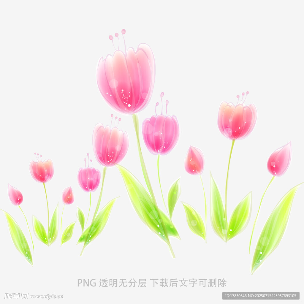 手绘粉色郁金香花卉图案