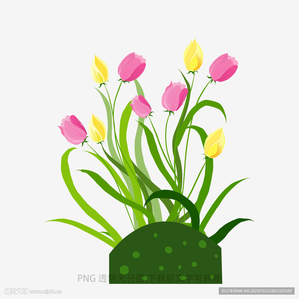 插画中的多彩郁金香花束