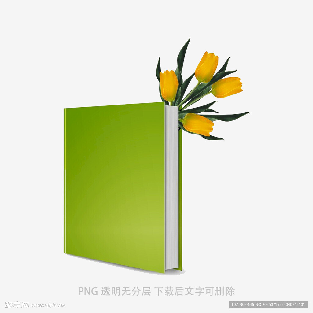 绿色书本旁的黄色花朵
