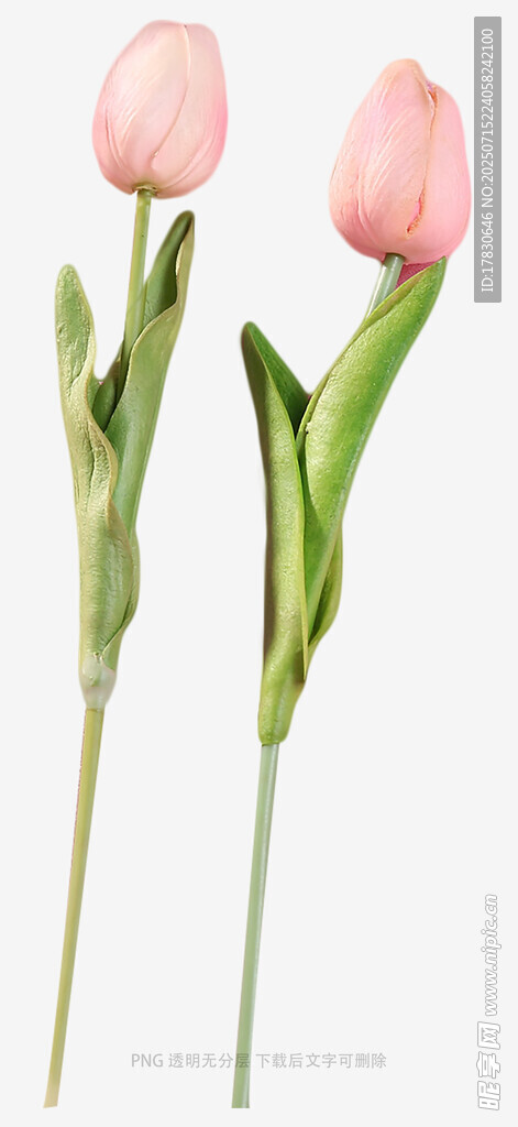 两枝粉色仿真郁金香花