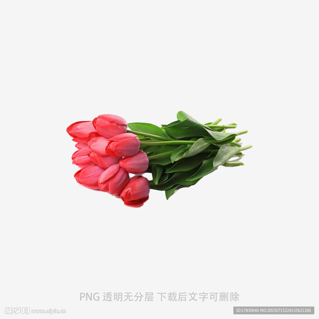 鲜艳红郁金香花束