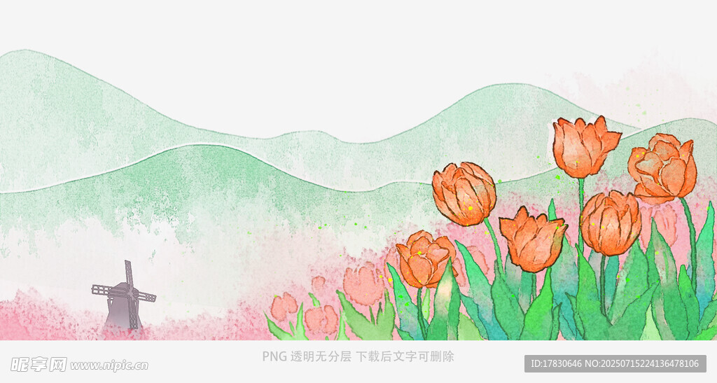 春日田园郁金香美景