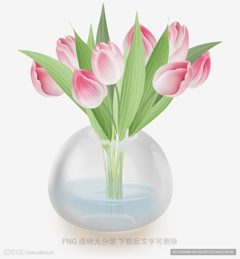 透明花瓶中的粉色郁金香