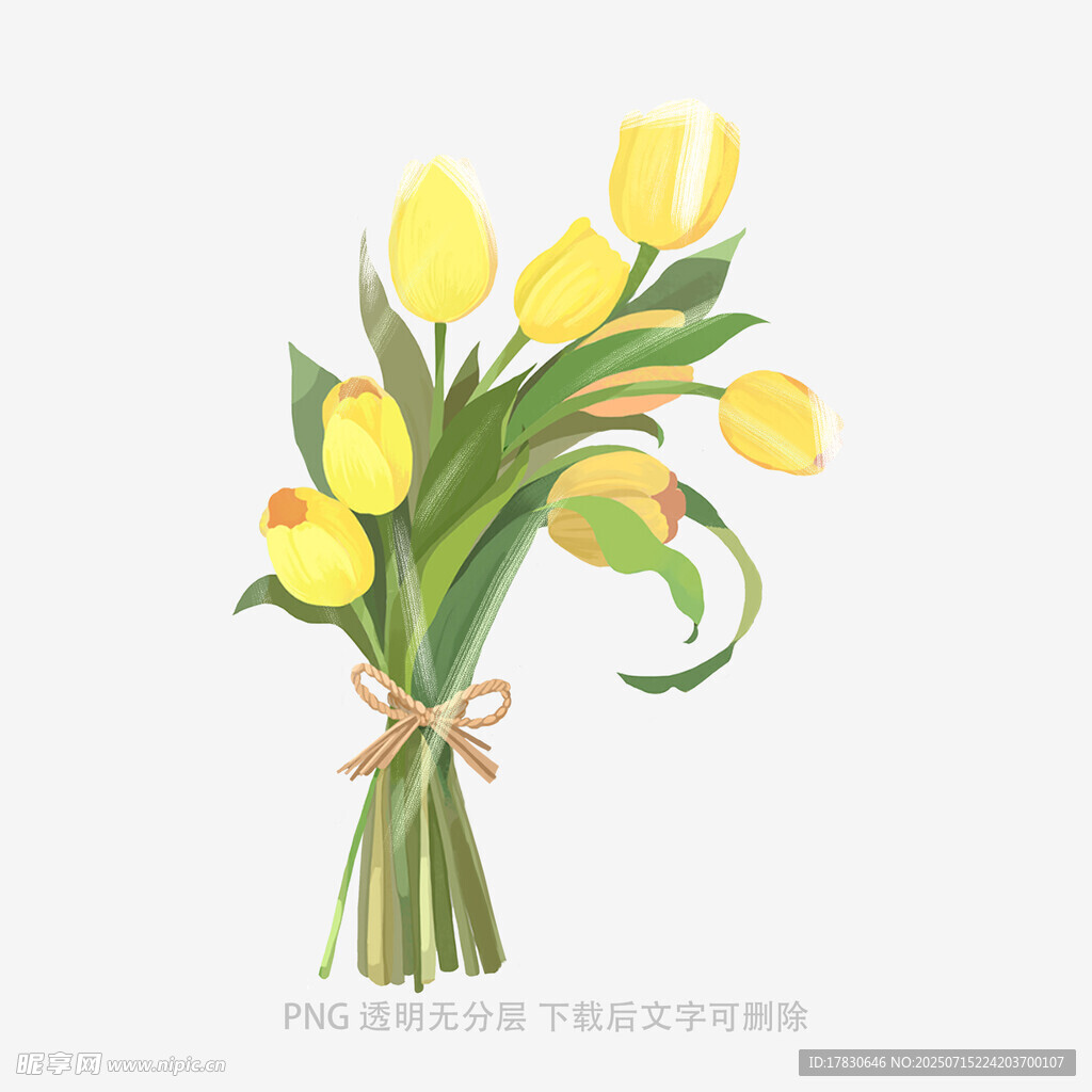 手绘黄色郁金香花束