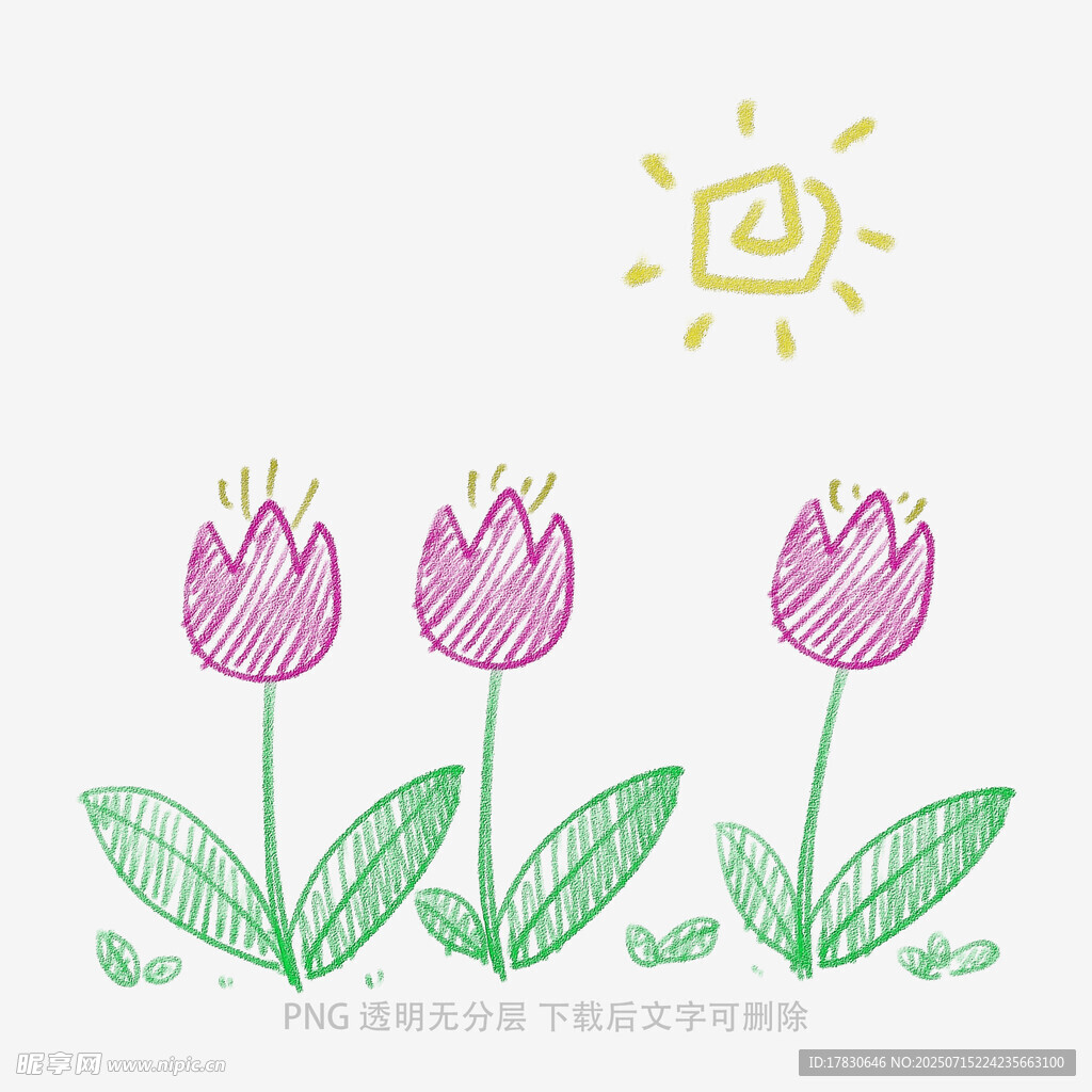 手绘三朵郁金香与太阳
