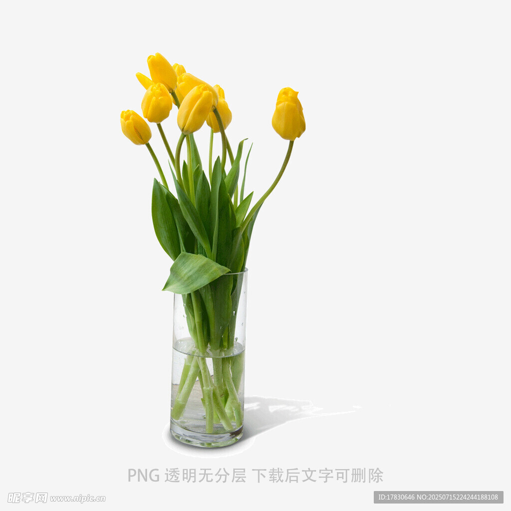 花瓶中的黄色郁金香