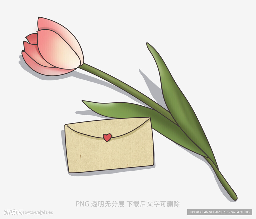 郁金香与信封的浪漫组合