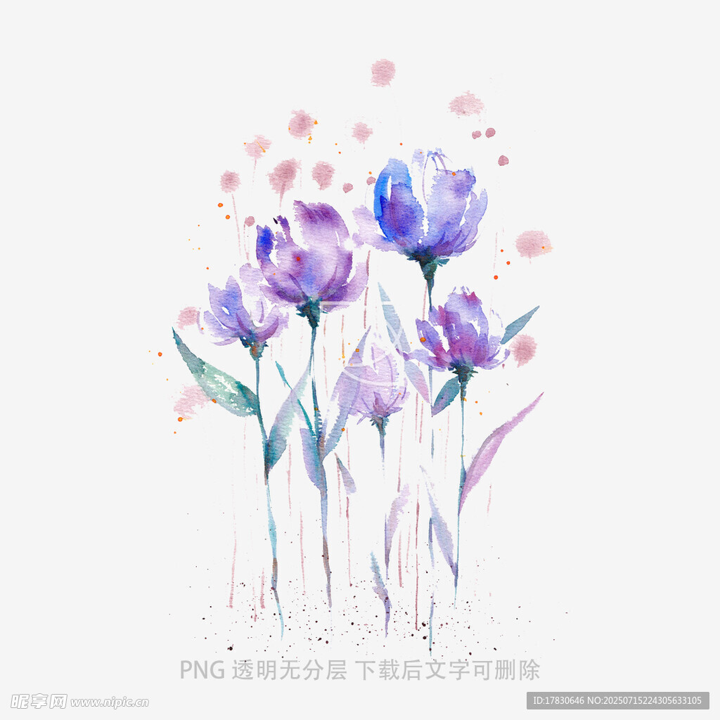 水彩绘紫色花卉插画