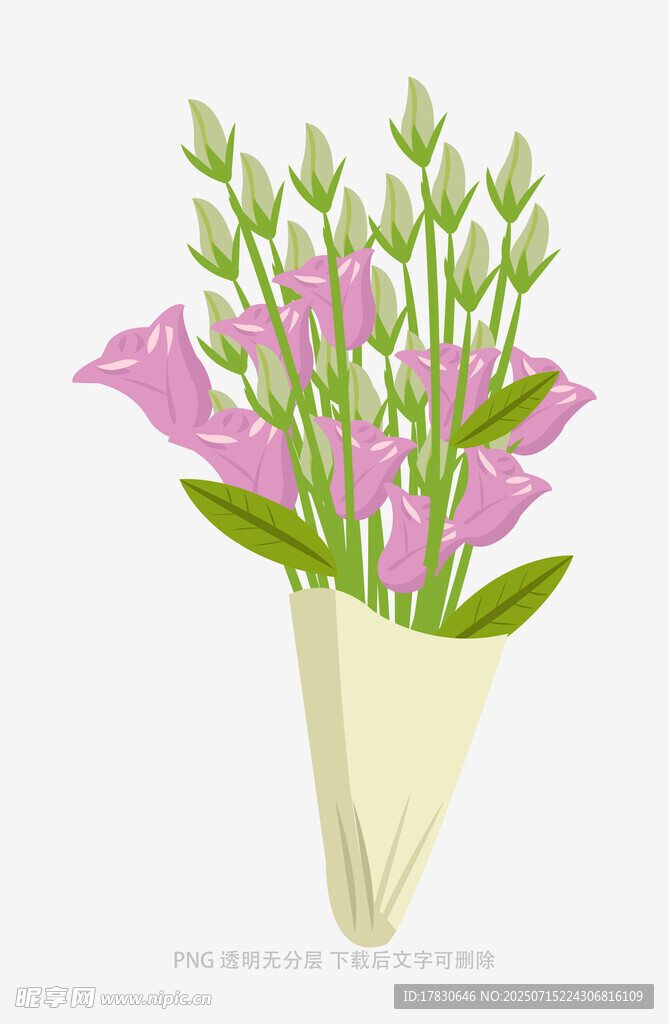 粉色海芋花束插画