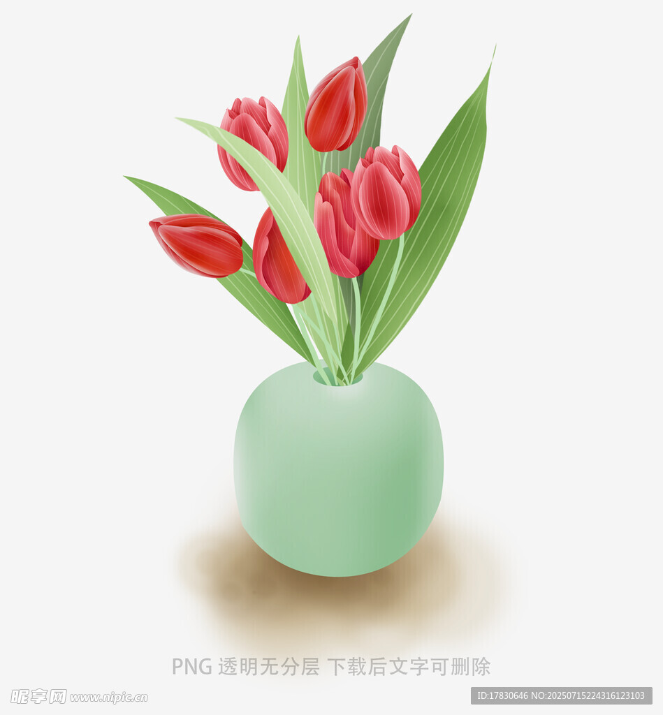 浅绿色花瓶中的红色郁金香