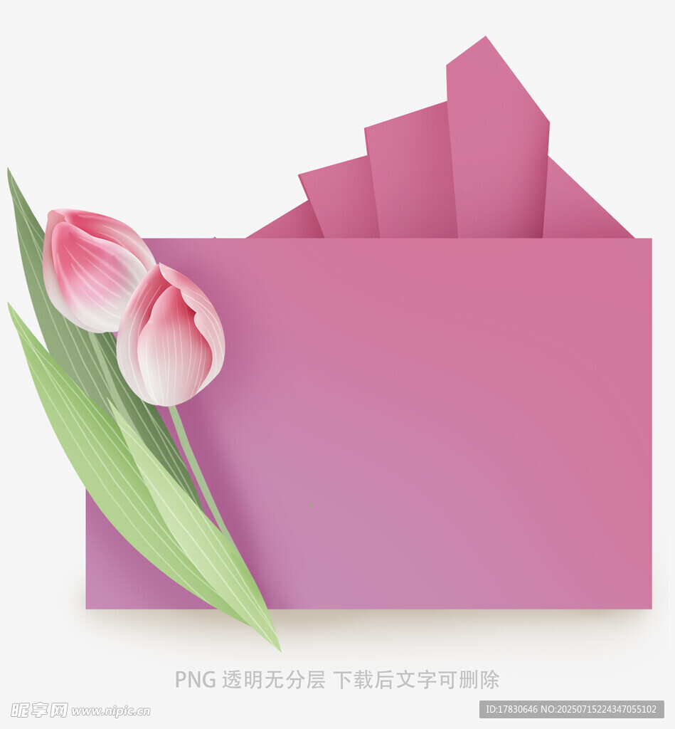 粉色信封与郁金香插画
