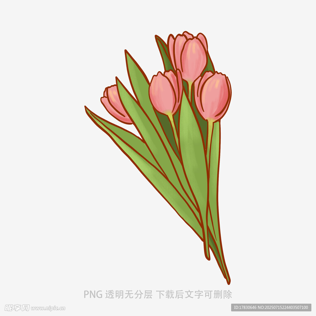 手绘粉色郁金香花束