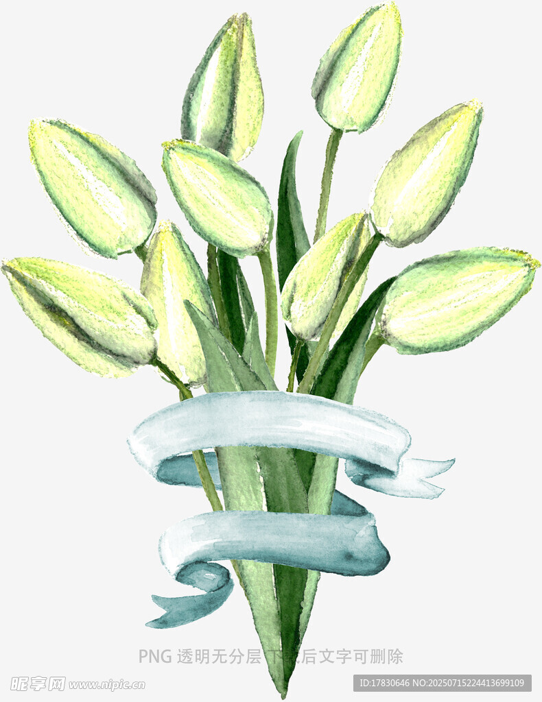 清新手绘郁金香花束