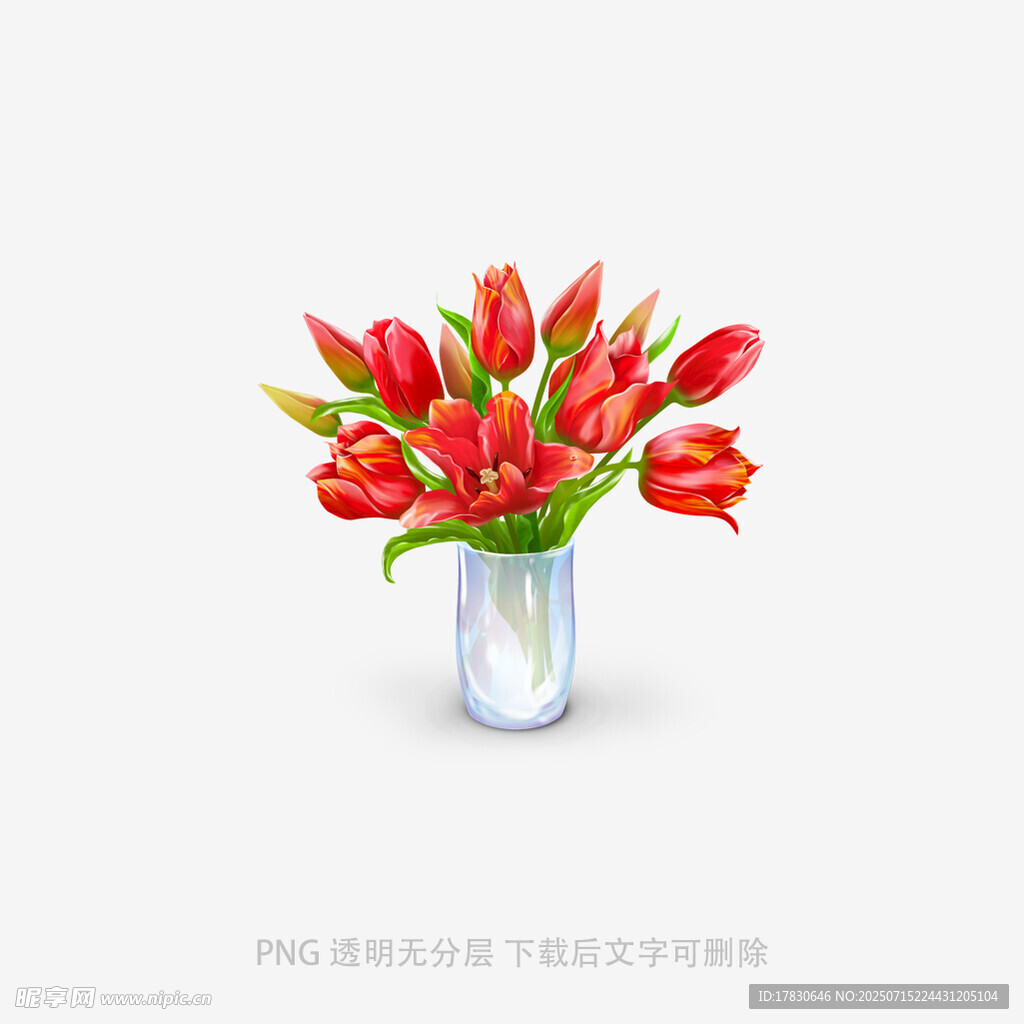 花瓶中鲜艳的红色郁金香