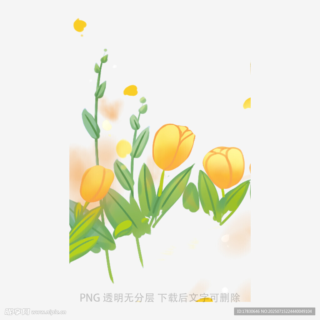 黄色郁金香插画花卉图案