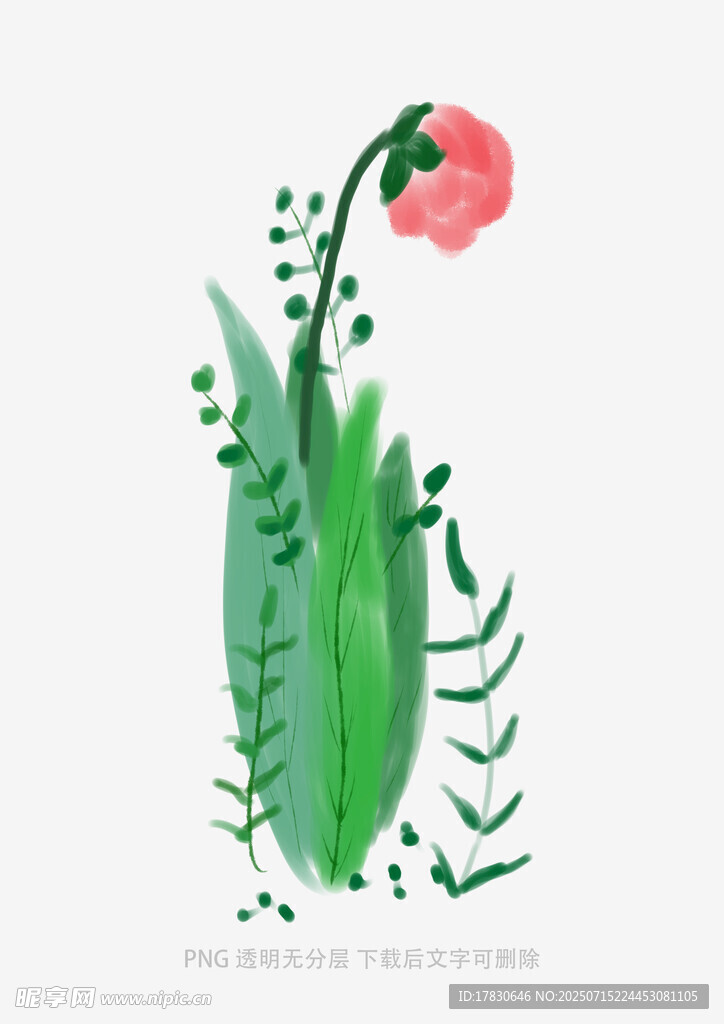 手绘粉色花朵与绿植插画