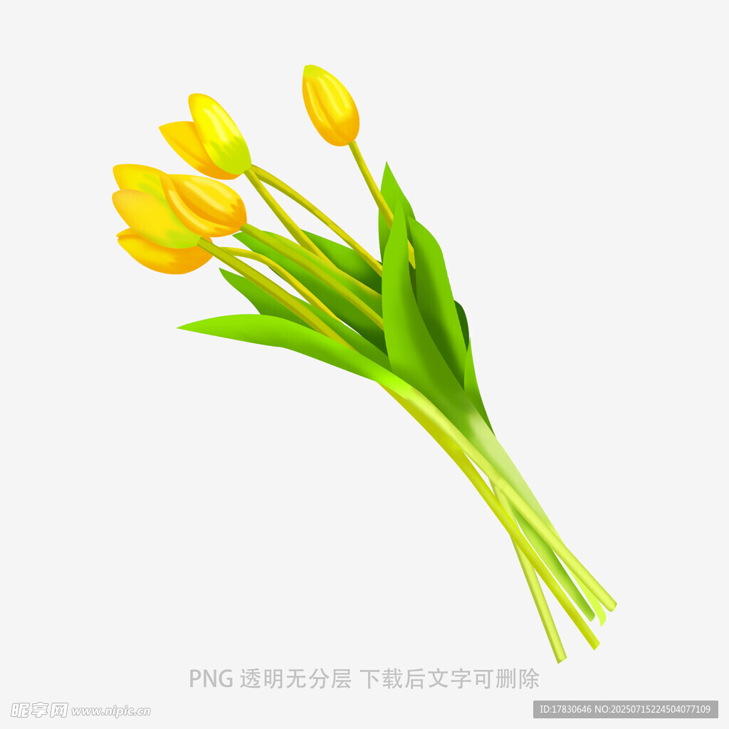 黄色郁金香花束