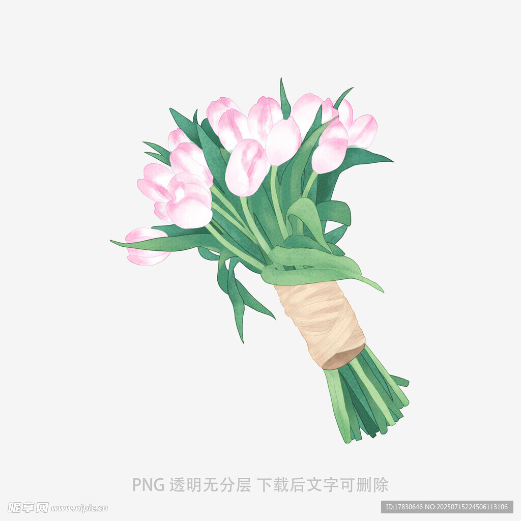 手绘粉色郁金香花束