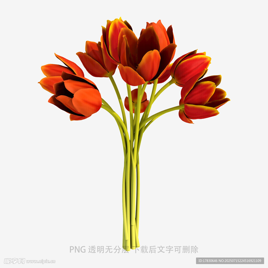 红色郁金香花束