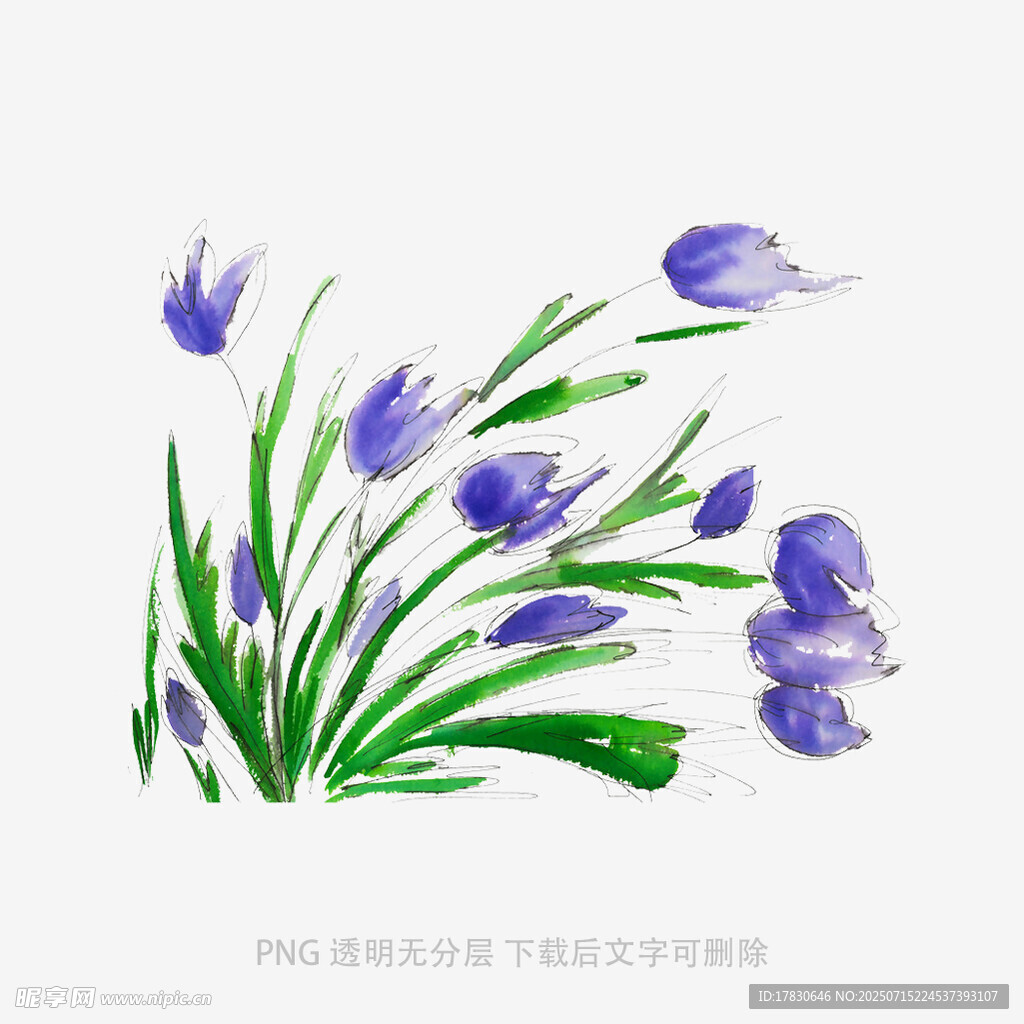 紫色花朵插画