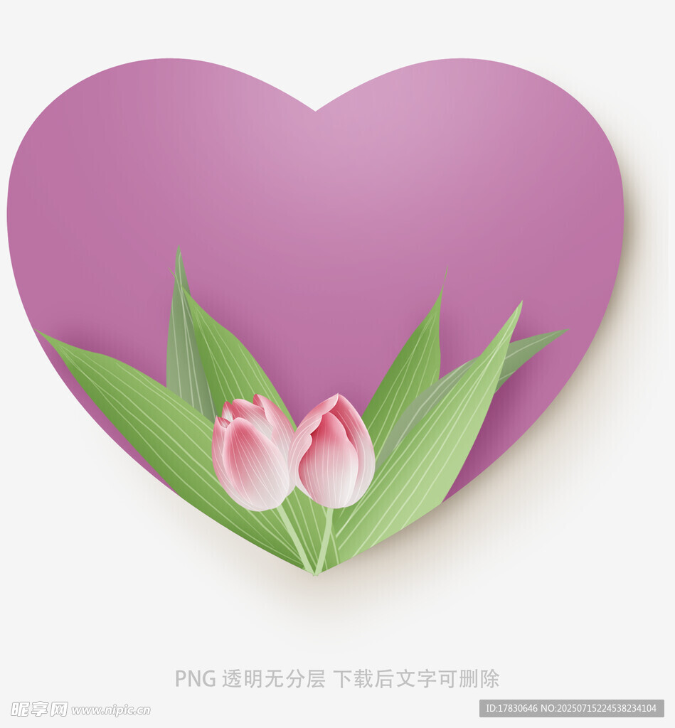 心形背景中的粉嫩郁金香