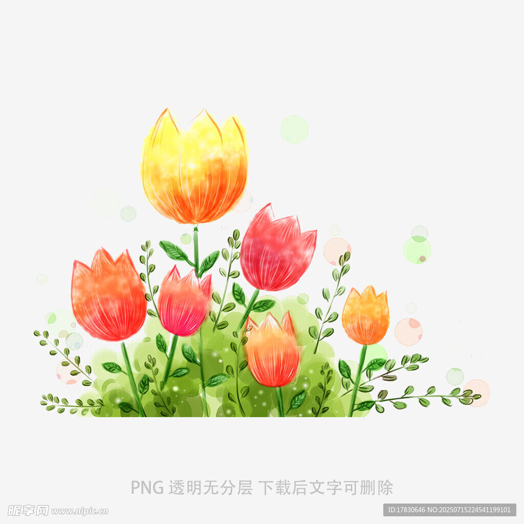 水彩绘多彩郁金香花丛