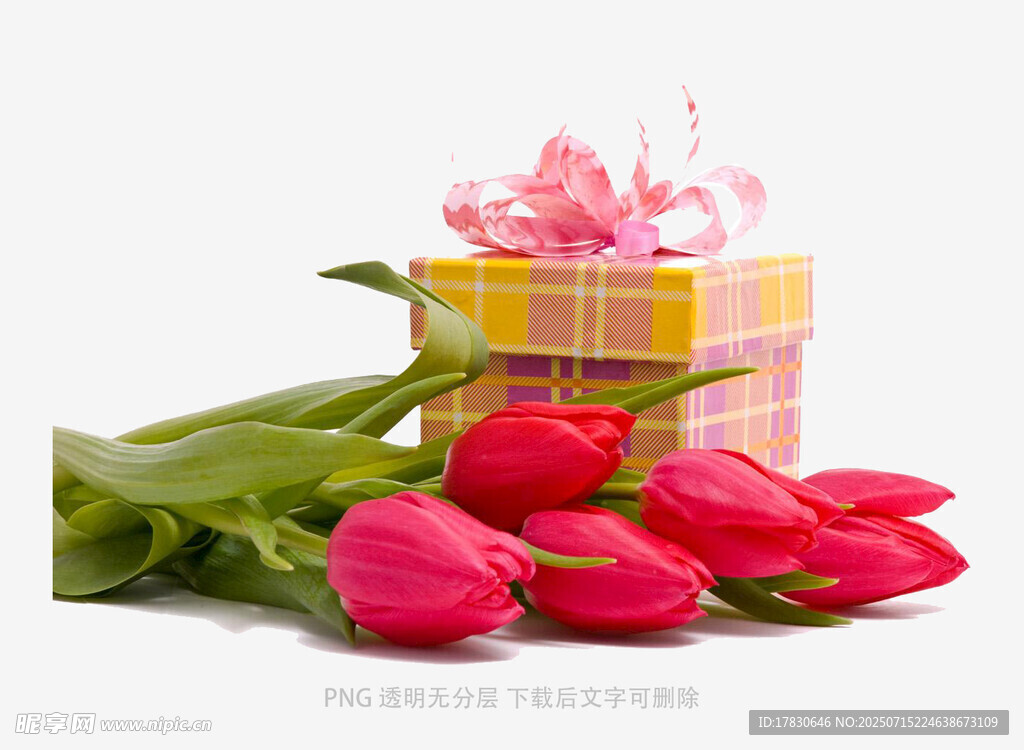 郁金香与礼品盒的温馨组合