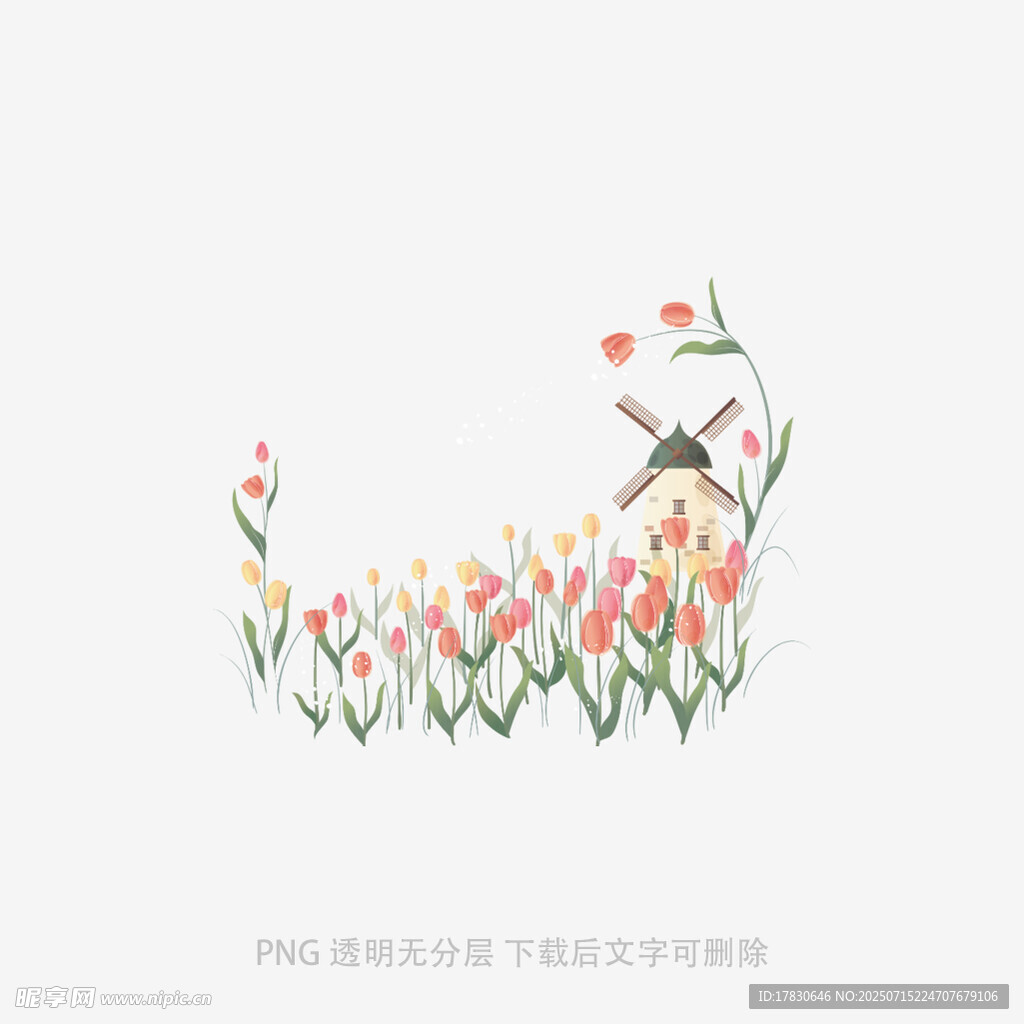 花丛中的猫咪与小鸟