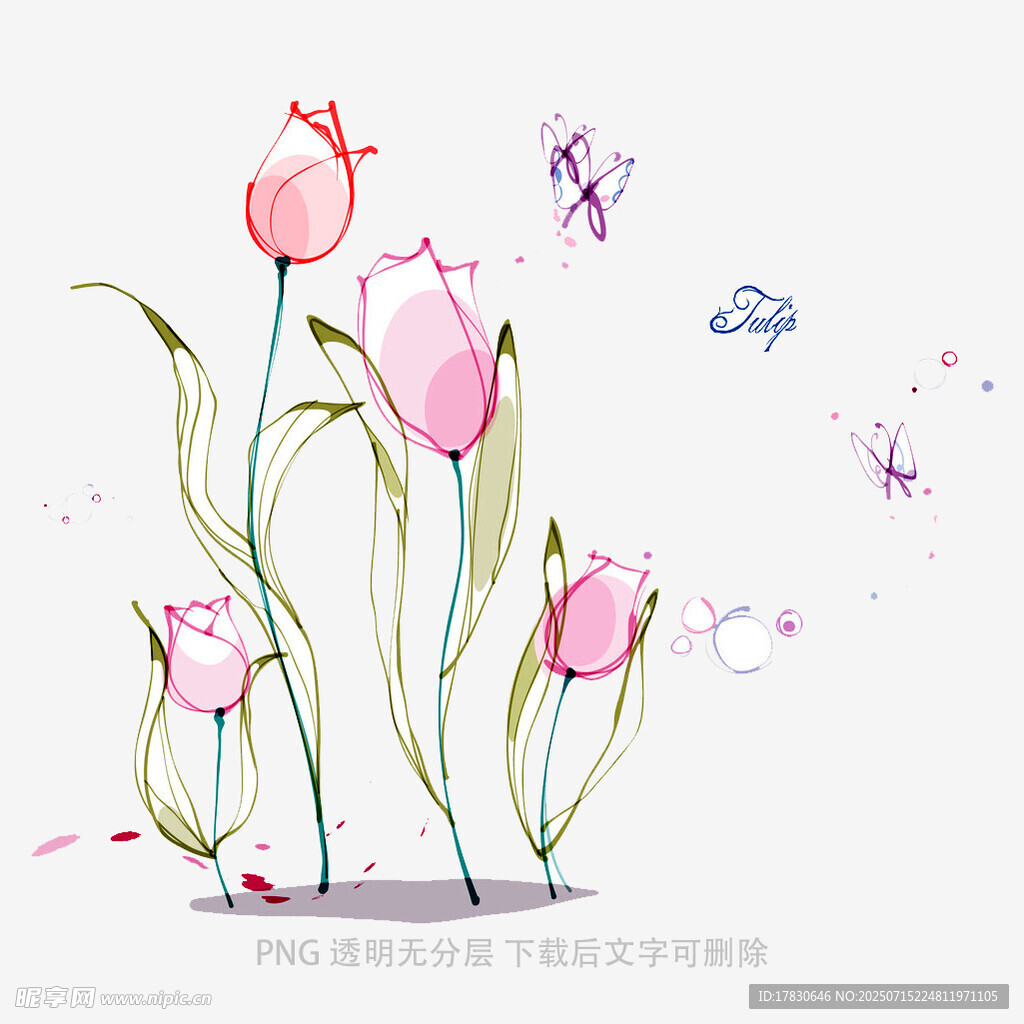 手绘粉色郁金香与蝴蝶