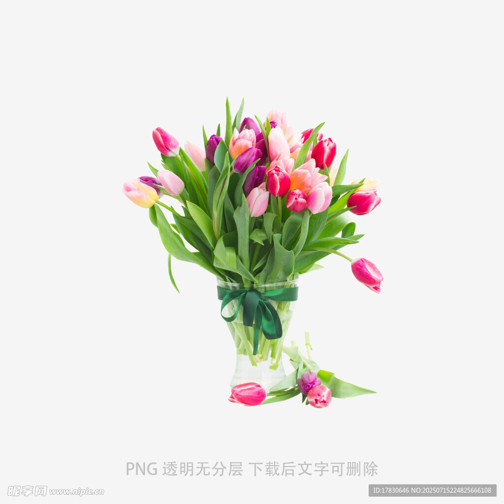 花瓶中的多彩郁金香