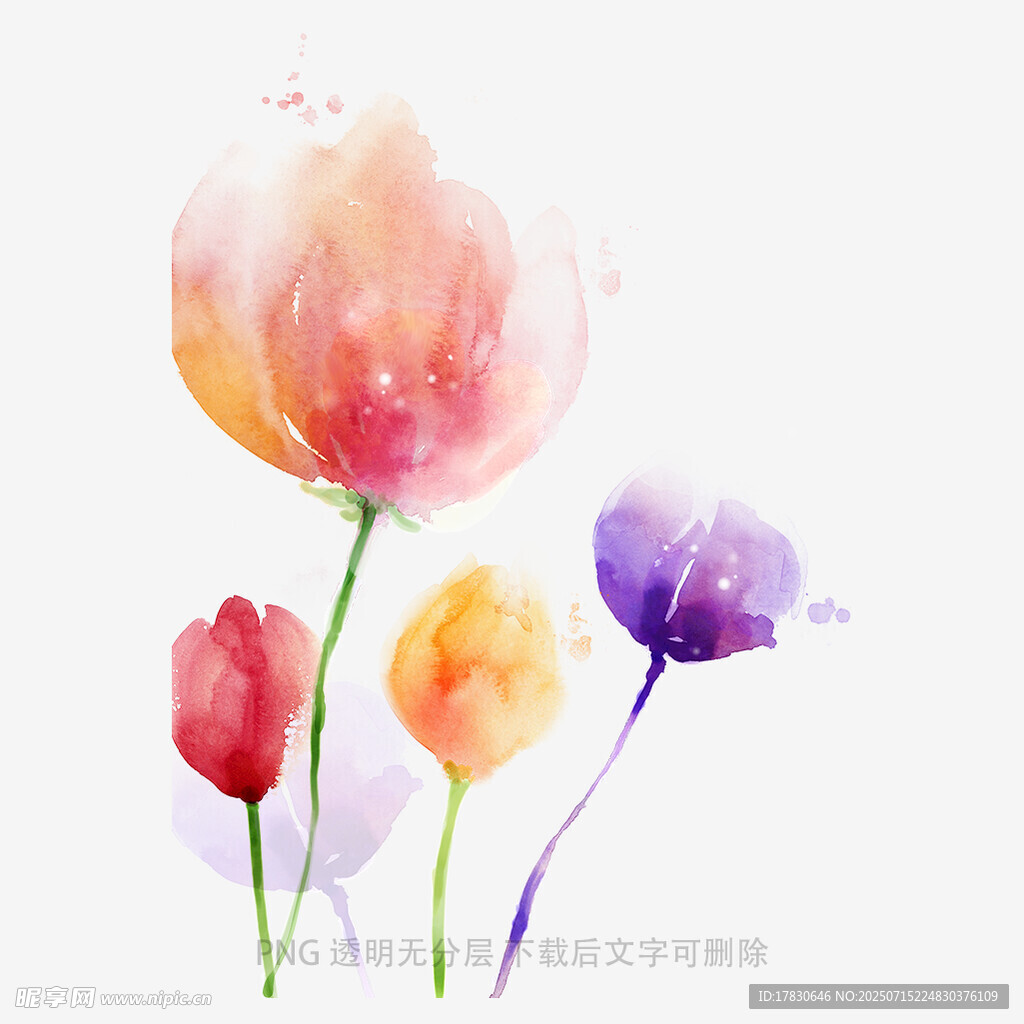 水彩绘多彩花朵