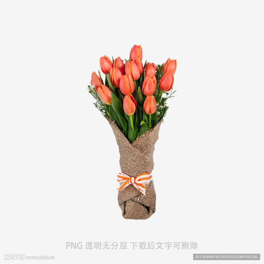 橙色郁金香花束优雅绽放