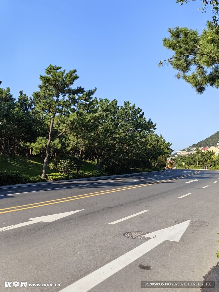 宽阔公路旁绿树成荫