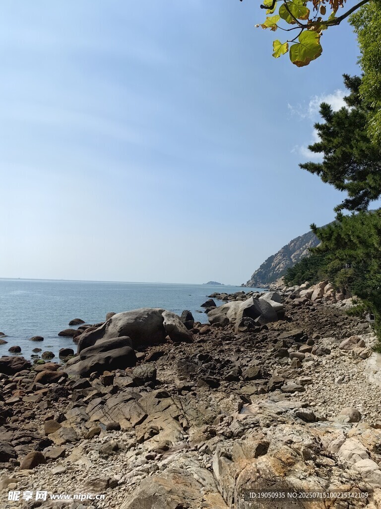 海边嶙峋礁石与葱郁树木