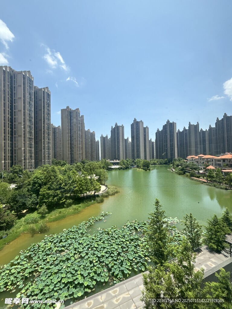 城市湖畔绿意景观