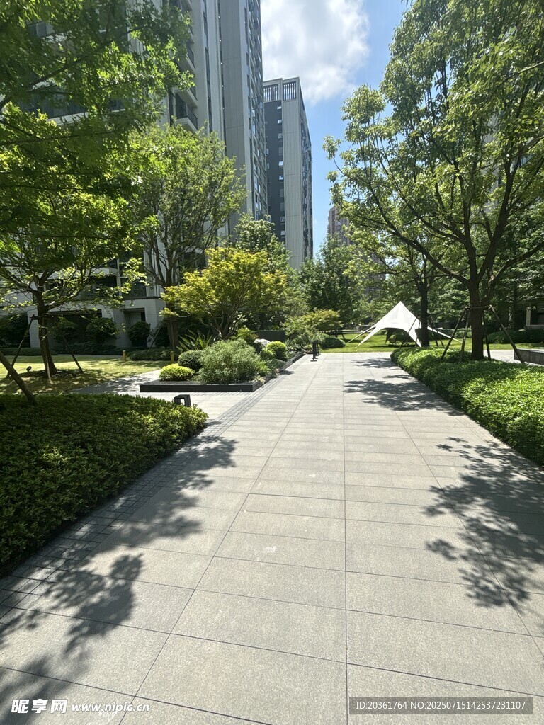 城市中的静谧林荫步道