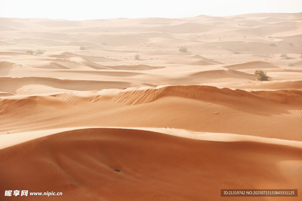广袤沙漠景观